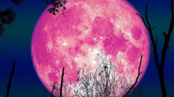 Pas 2 ditësh në qiell do të shihni “Hënën e Trëndafiltë”!