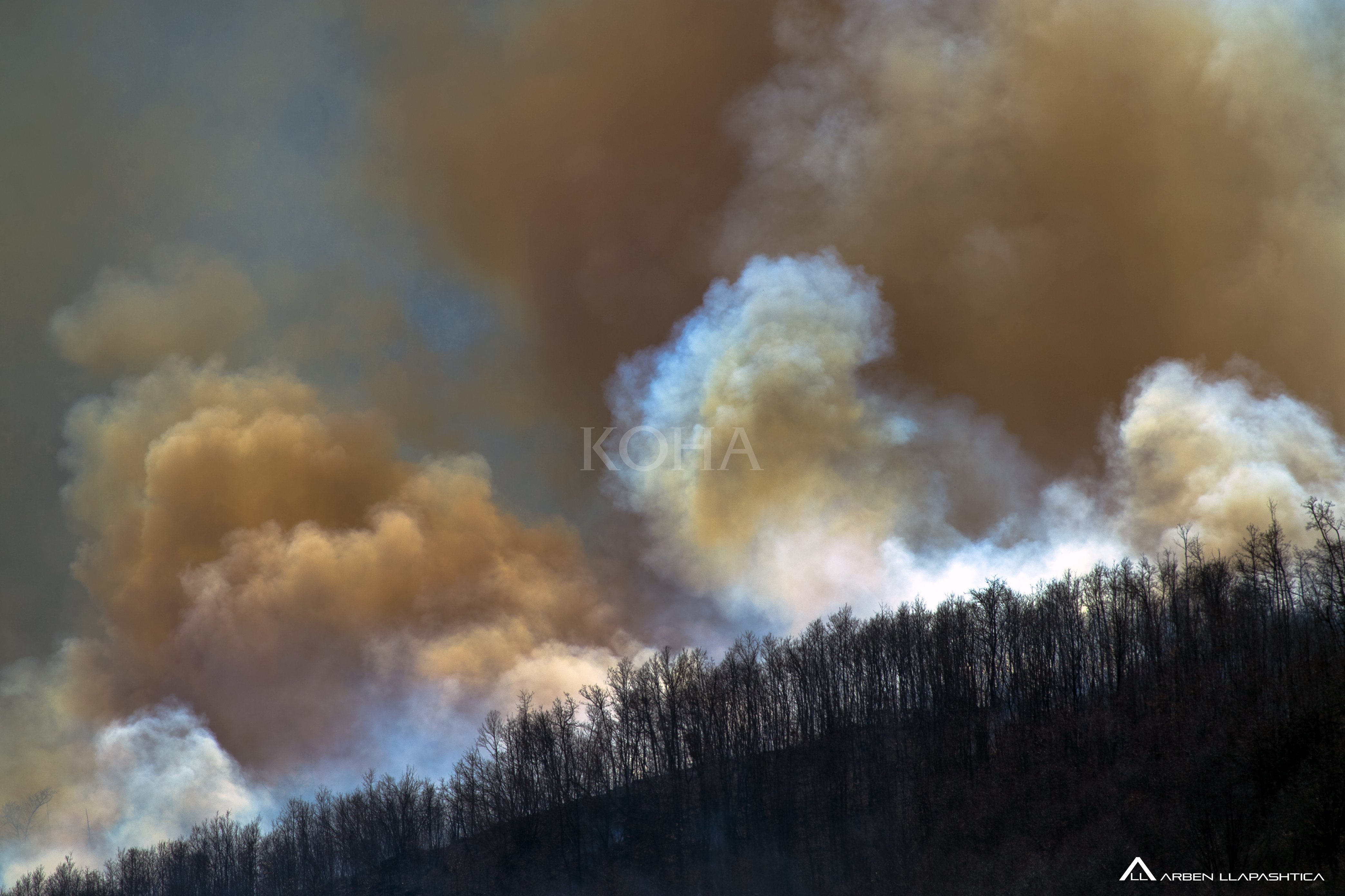 Foto: Arben Llapashtica / KOHA