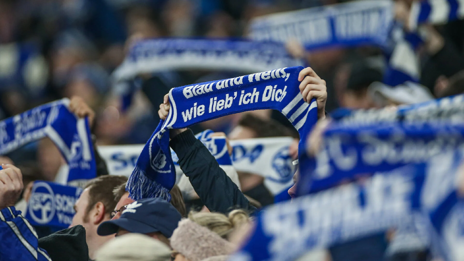 Foto: Schalke 04