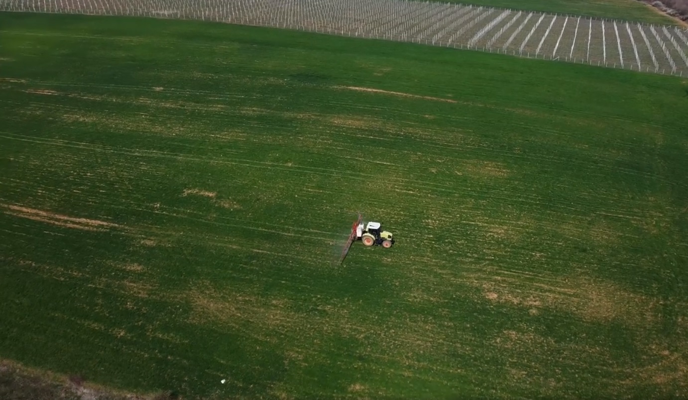 Foto: Arben Llapashtiva / KOHA