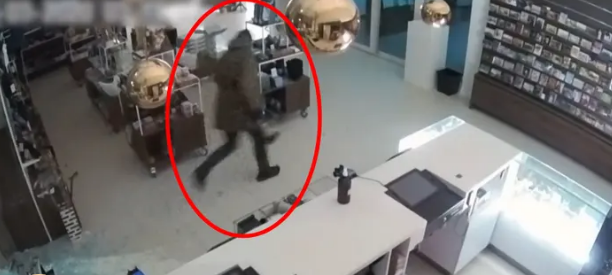 Momenti kur hajduti vodhi pikturën 3 milionë eurosh të Van Gohgut nga muzeu
