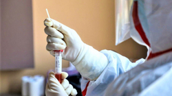 Katër të vdekur nga koronavirusi në Shqipëri të shtunën