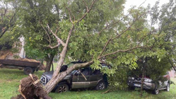 Shiu dhe erërat e forta mbrëmë shkaktuan dëme të mëdha në Obiliq