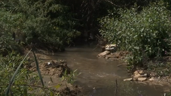 Probleme me kanalizim në disa lagje të kryeqytetit si pasojë e reshjeve, ankohen banorët
