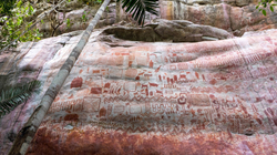 Arkeologët zbulojnë mijëra vizatime shkëmbore në pyllin e Amazonës