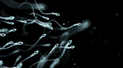 Mjeku nga Michigani thuhet se ua dhuroi spermën e tij qindra çifteve