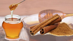 Mjalti dhe kanella, kombinimi që i sjell kaq shumë dobi organizmit