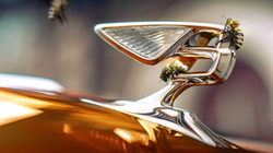 Bentley i lumtur që do të kontrollohet nga Audi e jo nga Porsche