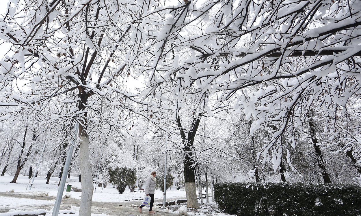 Foto: Driton Paçarada/ Koha Ditore