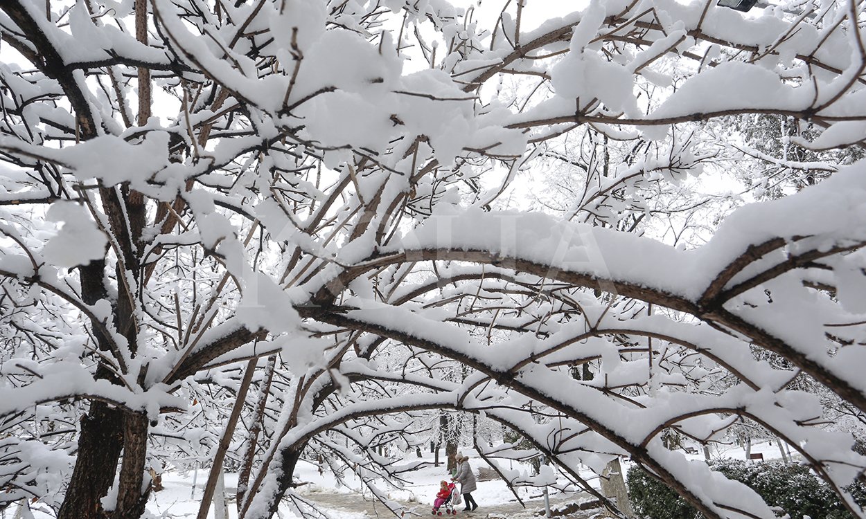 Foto: Driton Paçarada/ Koha Ditore