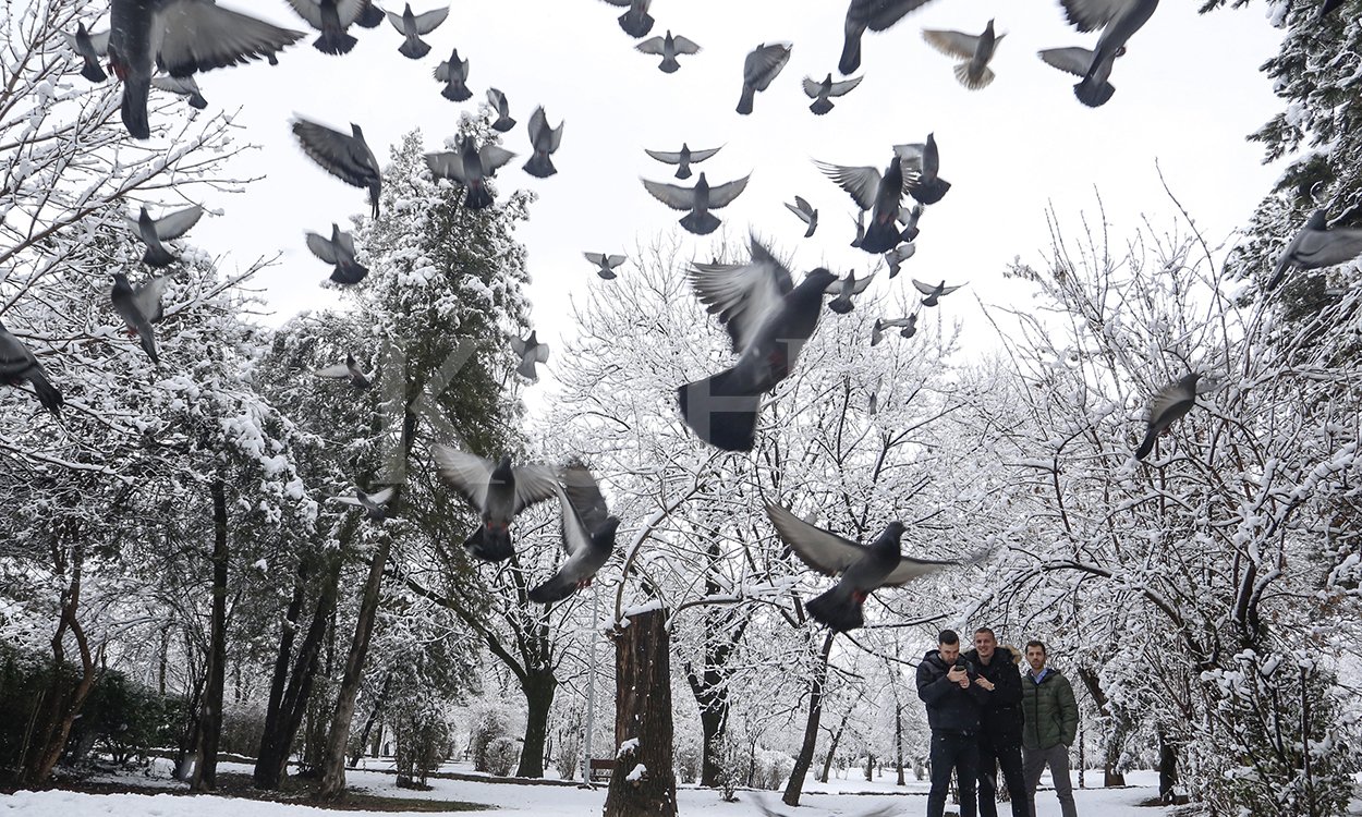 Foto: Driton Paçarada / KD