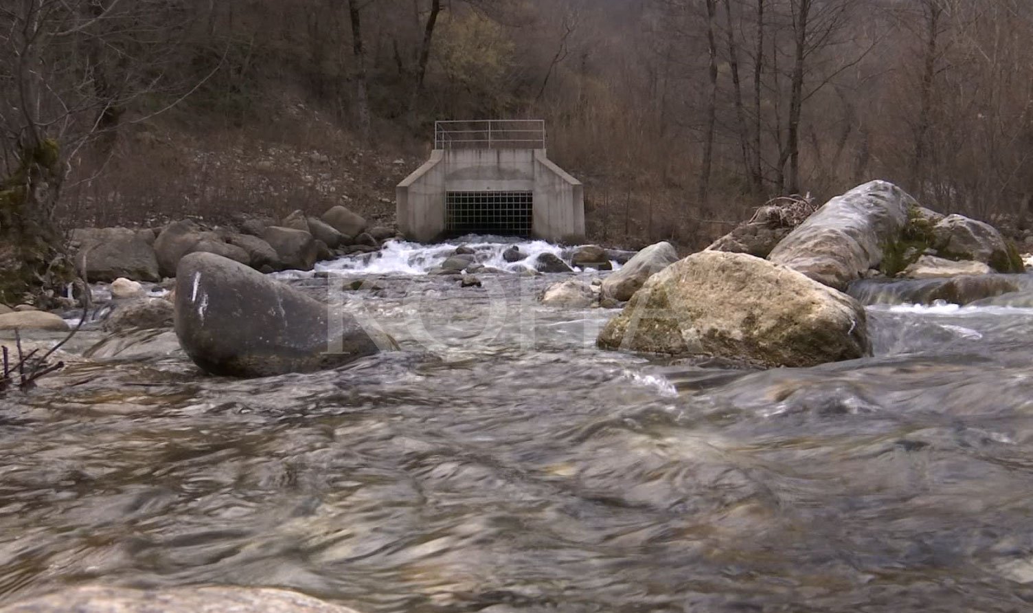 Foto: Koha / ilustrim