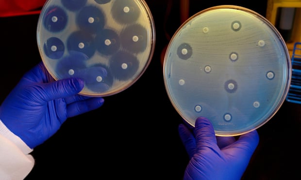 Foto: Science History Images / Alamy