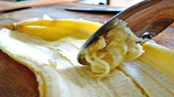Mos e hidhni lëvoren e bananes, ja për çfarë mund ta përdorni