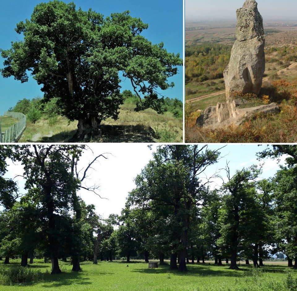 Foto: Agjencioni për Mbrojtjen e Mjedisit të Kosovës