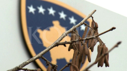 Këshilli i Pavarur Mbikëqyrës, mburojë për zyrtarët që dyshohen për keqpërdorime