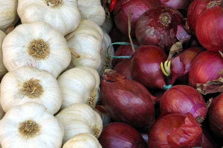 Pija me hudhra dhe qepë, si ilaç kundër shumë sëmundjeve