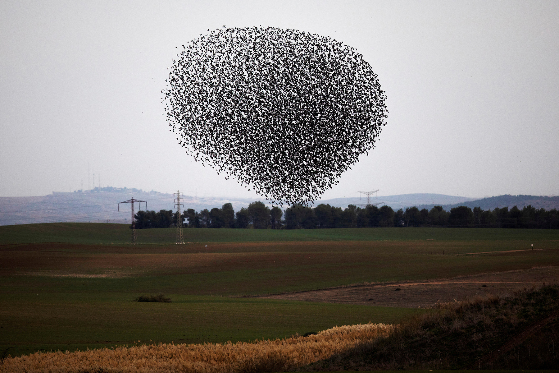Foto: Reuters