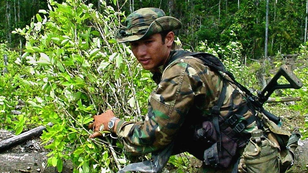 Kolumbia thyen rekordin, asgjëson 100 mijë ha plantacione me kokainë