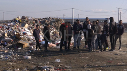 Banorët romë, ashkali e egjiptas në Gjakovë tash e 30 vjet jetojnë pranë mbeturinave