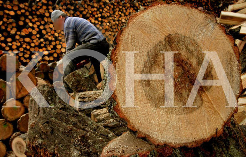 Foto: Koha / ilustrim