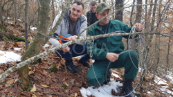 Gjuetia për mbrojtjen e faunës së egër