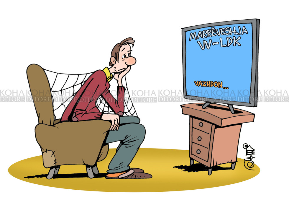Karikatura e ditës - 29 janar 2020