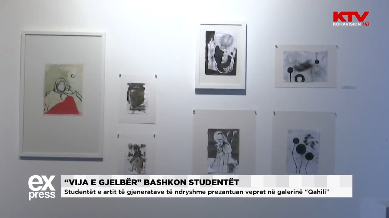 Ekspozita “Vija e gjelbër” bashkon studentët