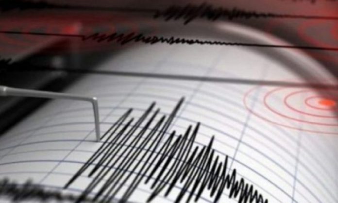 Një tërmet 6,6 ballë Rihter godet brigjet e Indonezisë