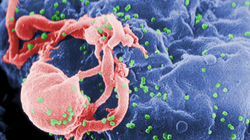 Braziliani mund të bëhet personi i parë që me ilaçe “shërohet” nga HIV-i