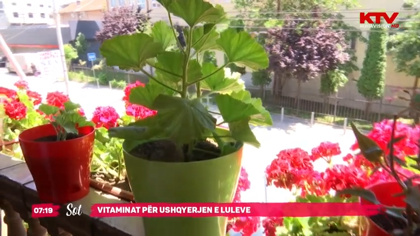 Vitaminat për ushqyerjen e luleve