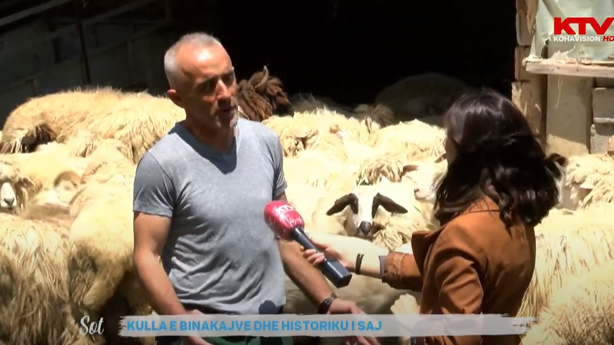 Me shumë anëtarë e bagëti jetohej në Kullën e Binakajve