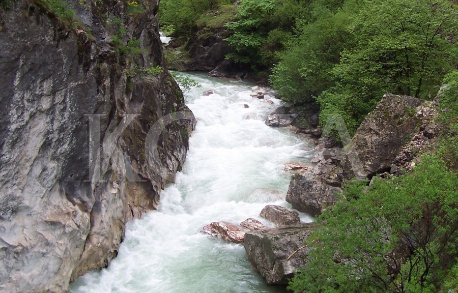 Prokuroria kërkon të ndërmerren masa urgjente kundër degraduesve të ambientit në rajonin e Pejës