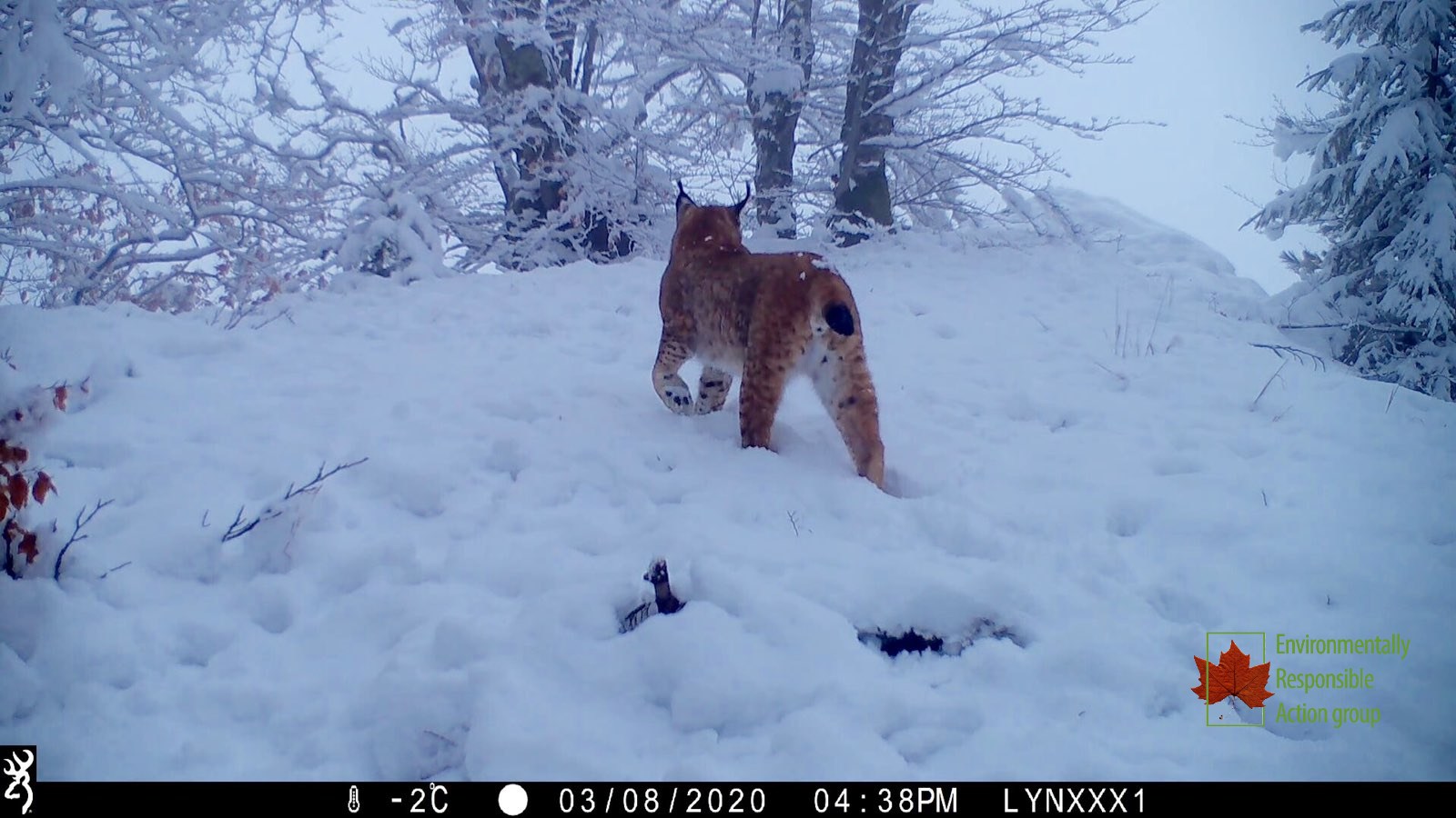 Foto: ERA Group / Facebook