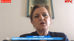 Lekaj-Përlaskaj tregon për gjendjen në Kroaci pas tërmetit