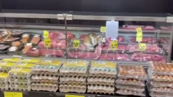 Macja sorollatet tek frizat e mishit në një market në Prishtinë