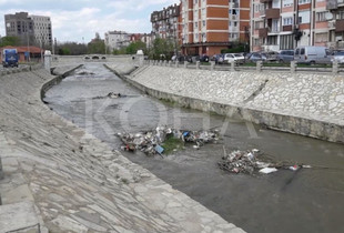 Foto: Koha