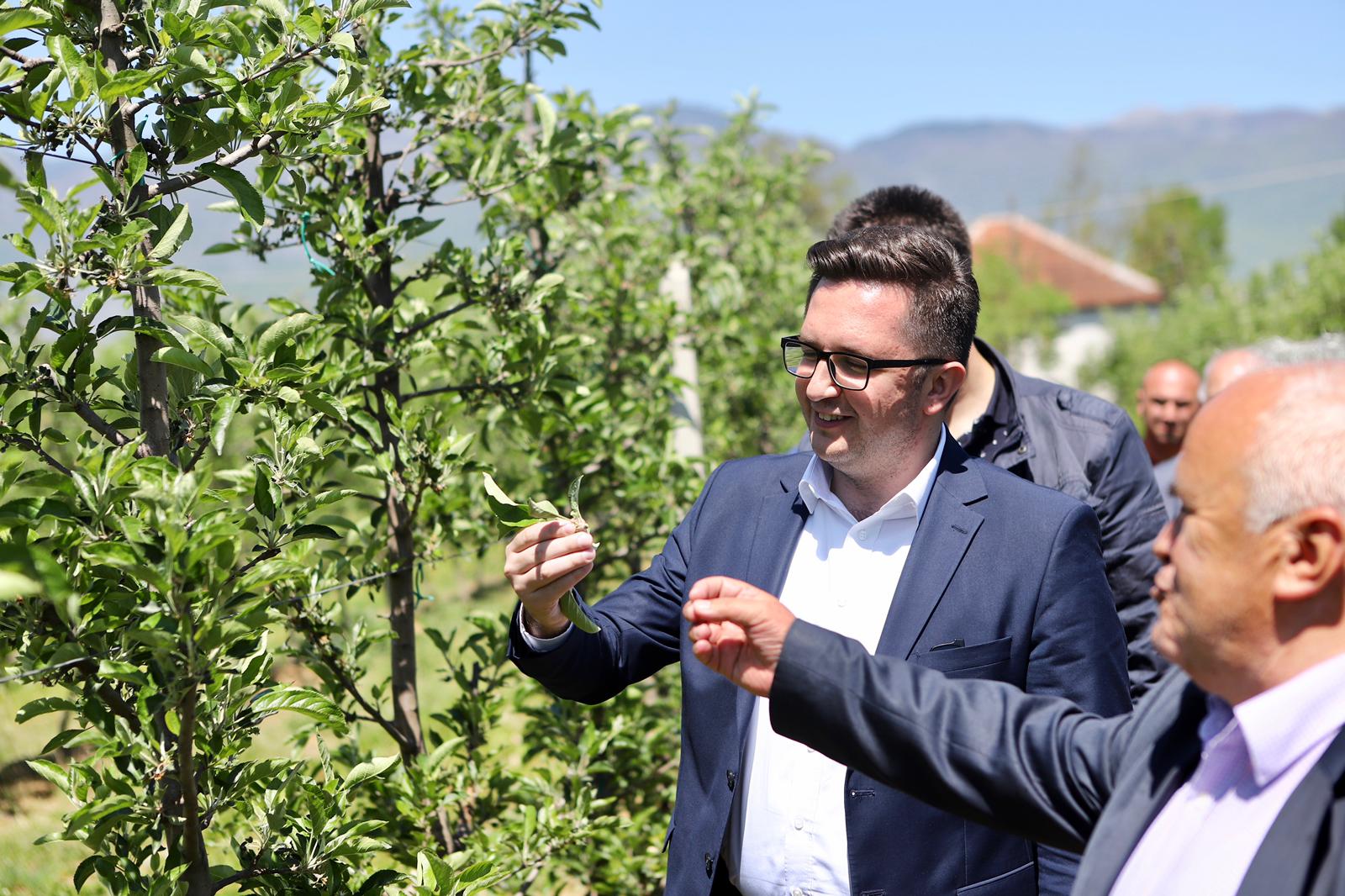 Mustafa premton mbështetje për prodhuesit bujqësorë në Istog