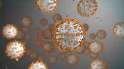 Bloomberg: Shkencëtarët krijojnë antitrupa në laborator që mposhtin koronavirusin