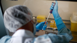 Kroacia shënon rekord të rasteve ditore me koronavirus, 358