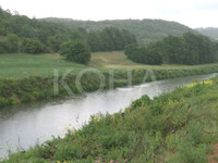 Foto: Koha