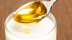 Hudhra, mjaltë dhe qumësht, kura kundër parazitëve në organizëm