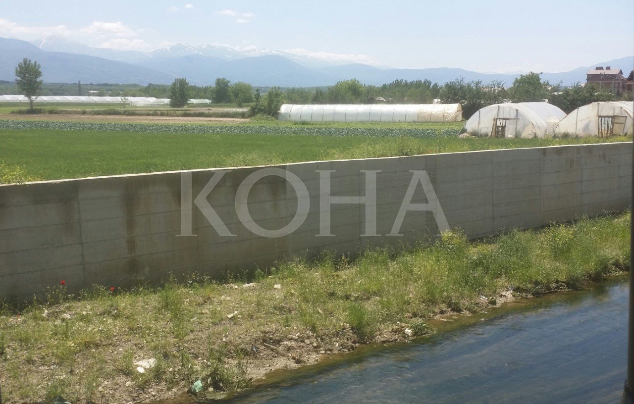 Mamusha, qyteza prej 23.36 kilometrash katrorë ka 300 hektarë serra. Shtrihet 19 kilometra në veri të Prizrenit. Këtu, i madh e i vogël merren me bujqësi