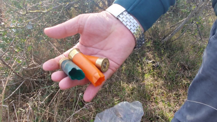 Gjuetia e paligjshme në Nartë largoi pelikanët