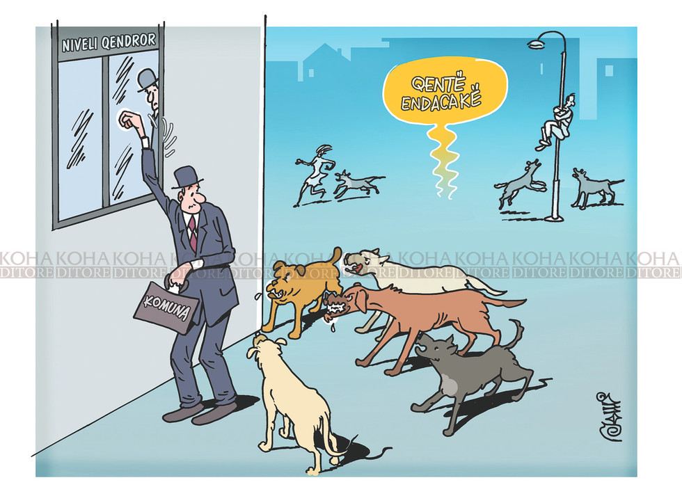 Karikatura e ditës - 3 nëntor 2020