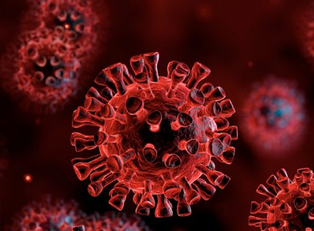 Mbi 48 milionë të infektuar nga Covid-19 në botë, të vdekurit kalojnë shifrën e 1.2 milionë