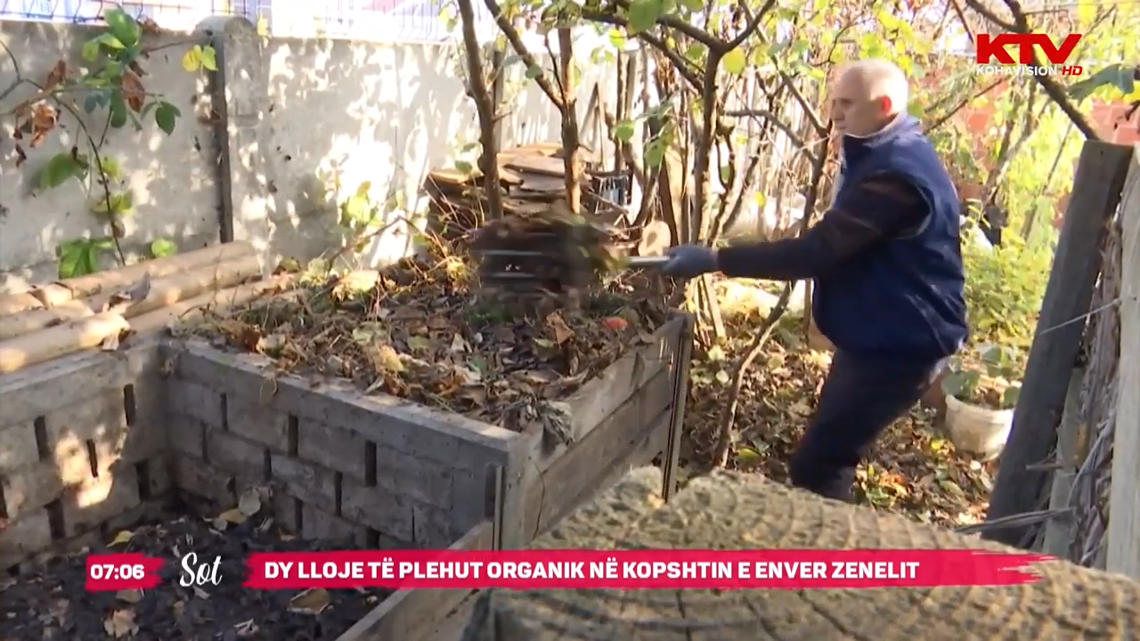 Dy lloje të plehut organik në kopshtin e Enver Zenelit