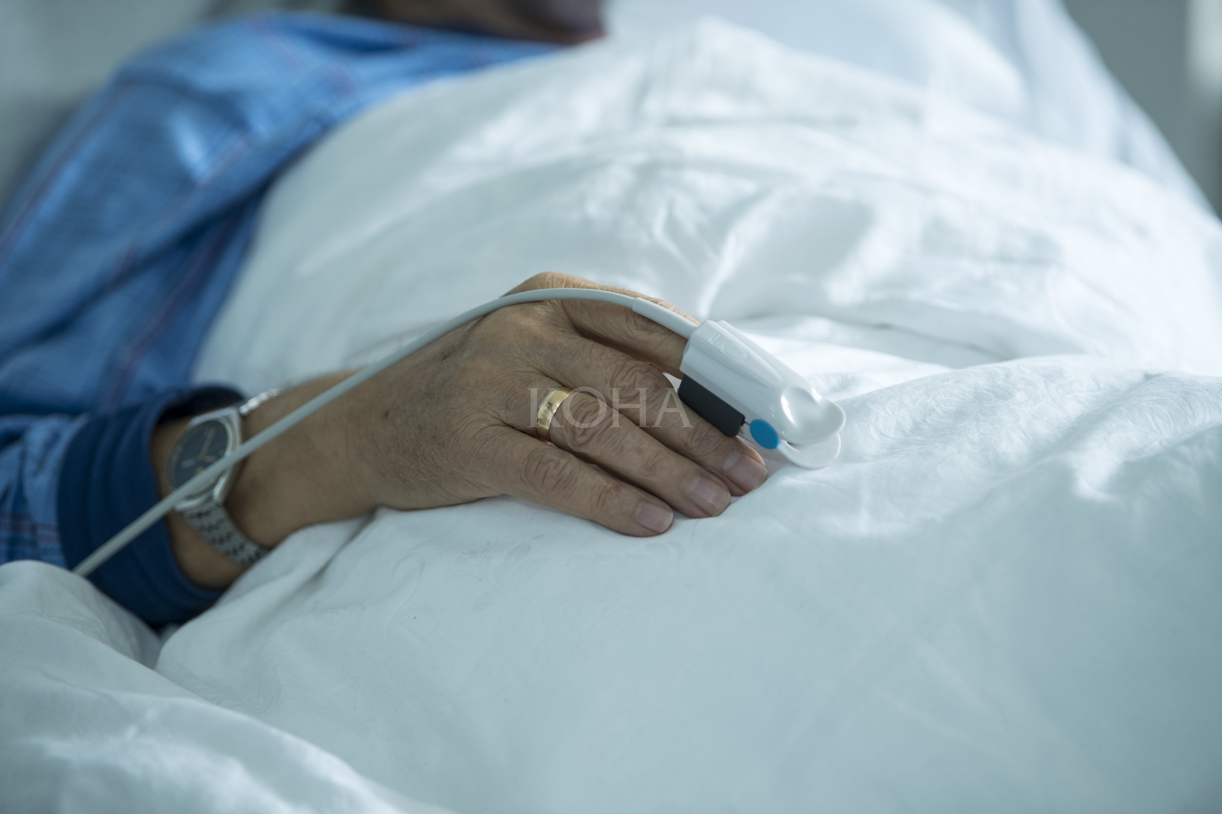 Foto: Arben Llapashtica