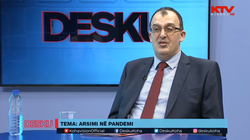 Pupovci: Fëmijët që s’morën pjesë në mësimin online, llogaritet se e kanë humbur 40% të mësimit