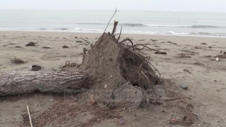 The sea takes land in Shengjin, on Kunes beach it advances 2.5 meters every year
